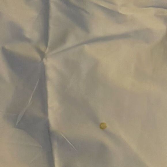 Draft Listing - Picture 4 of 8